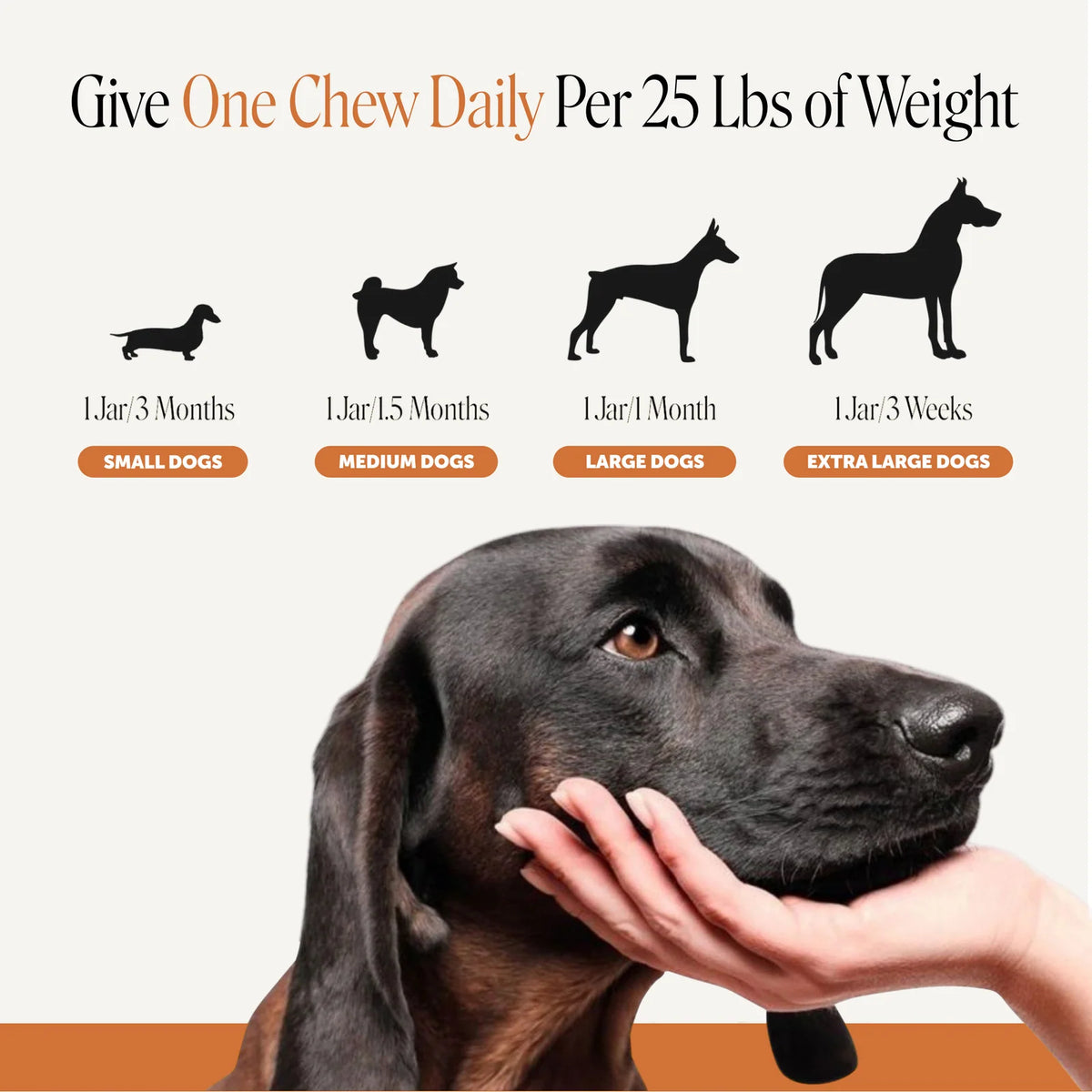 Flea and Tick Support Soft Chews
