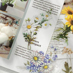 Floral Journal Stickers for Bullet Journals, Scrapbooks and Junk Journals in Rose, Butterfly, Cotton, Fungi, Daisy and Map