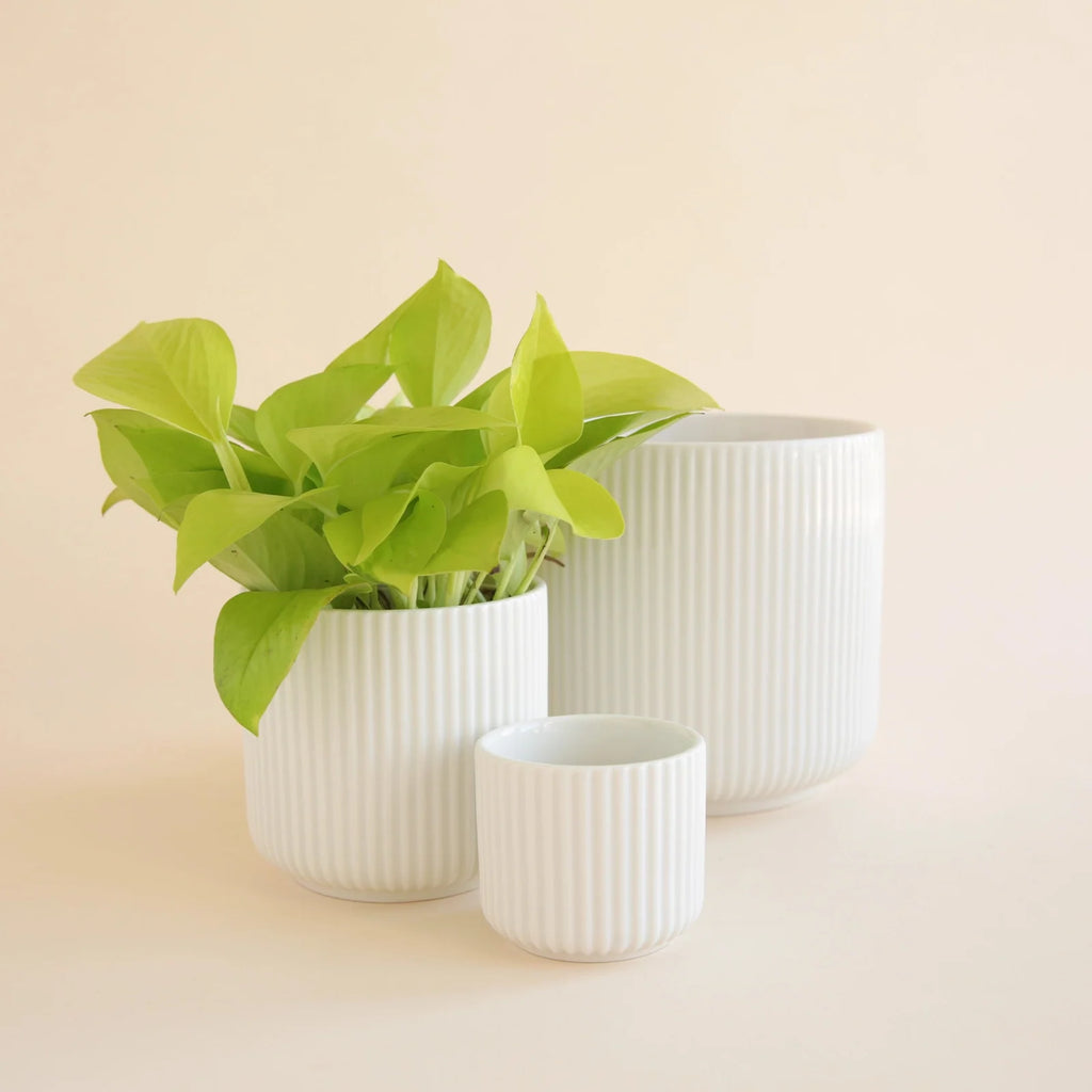 Fluted U-Shaped Planter in White with Drainage Hole, Waterproof Plug and Three Size · planters