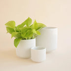 Fluted U-Shaped Planter in White with Drainage Hole, Waterproof Plug and Three Size · planters