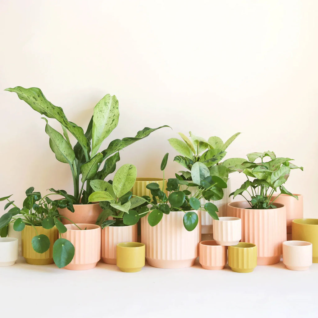 Fluted U-Shaped Planter in White with Drainage Hole, Waterproof Plug and Three Size · planters