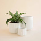 Fluted U-Shaped Planter in White with Drainage Hole, Waterproof Plug and Three Size · planters