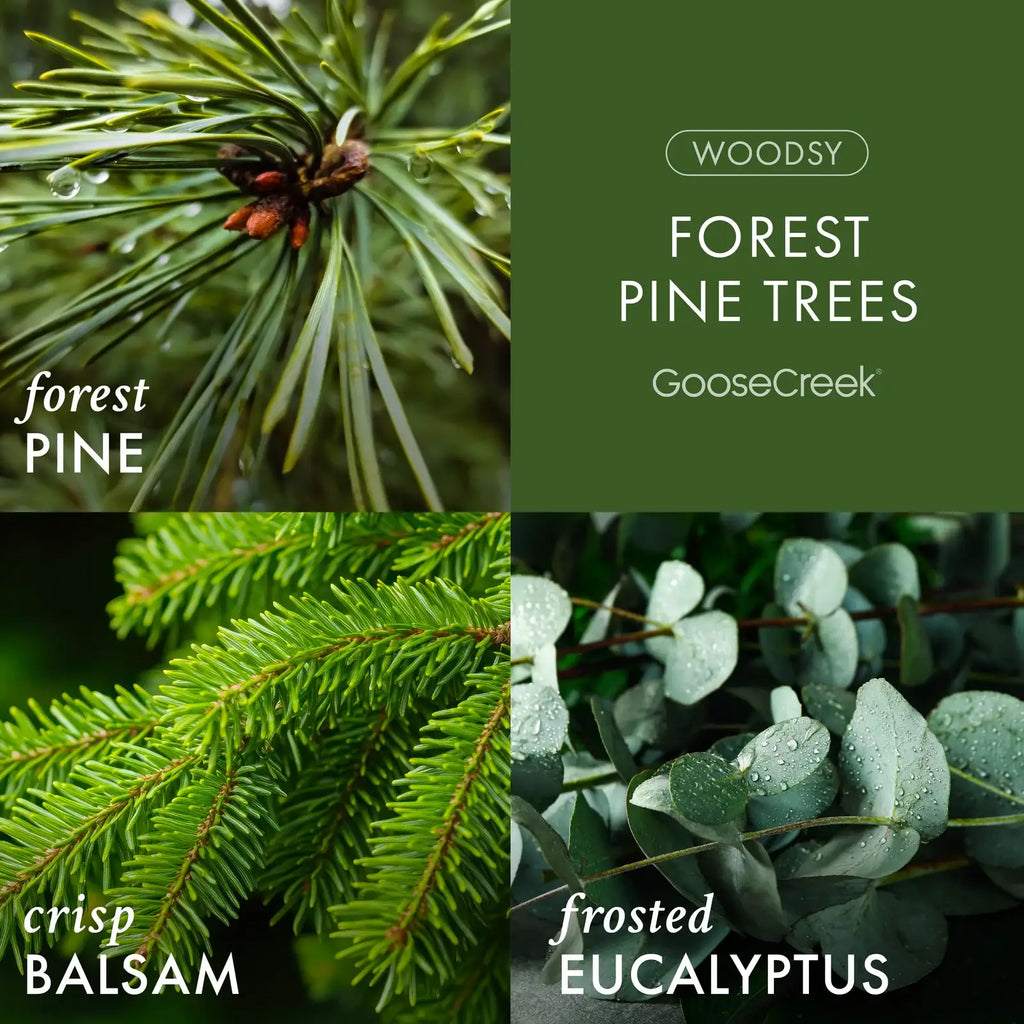 Forest Pine 3-Wick Scented Candle