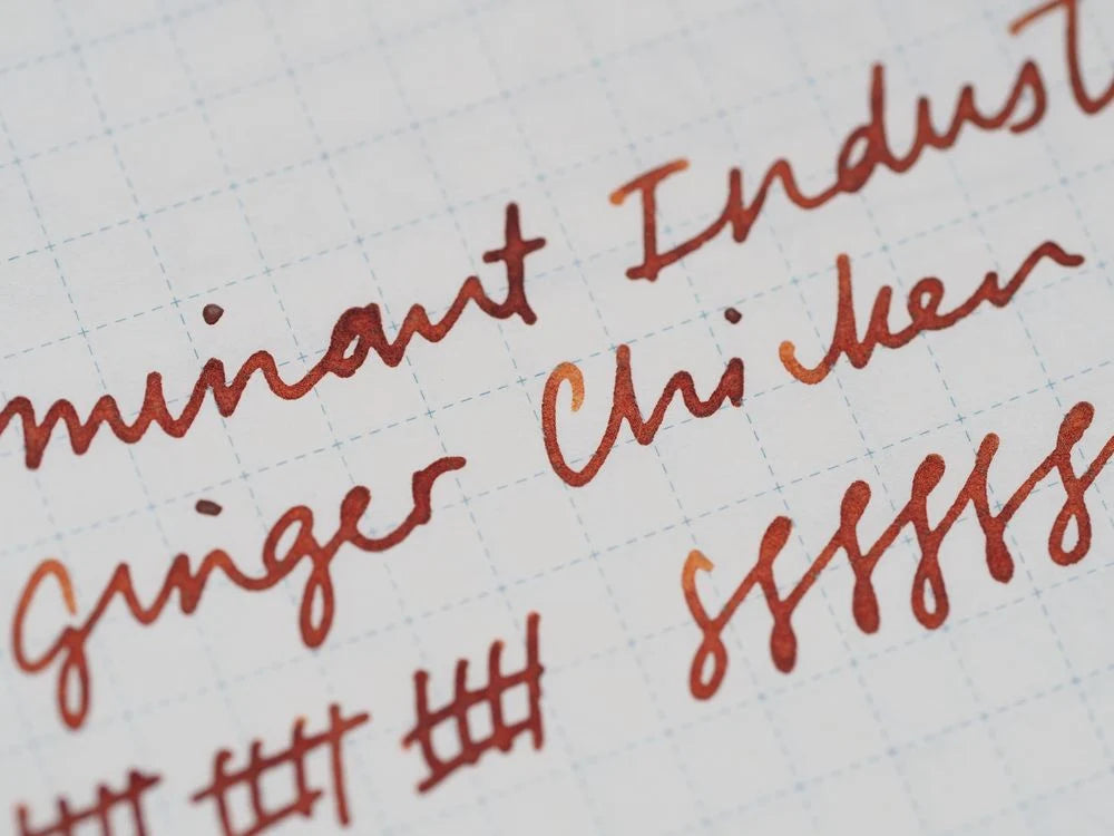 Fountain Pen Ink in Ginger Chicken Orange, 25 mL Full Bottle for Journaling and Handwritten Notes