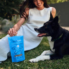 Freeze-Dried Dog Treats in a Beef, Sweet Potato and Yogurt Recipe