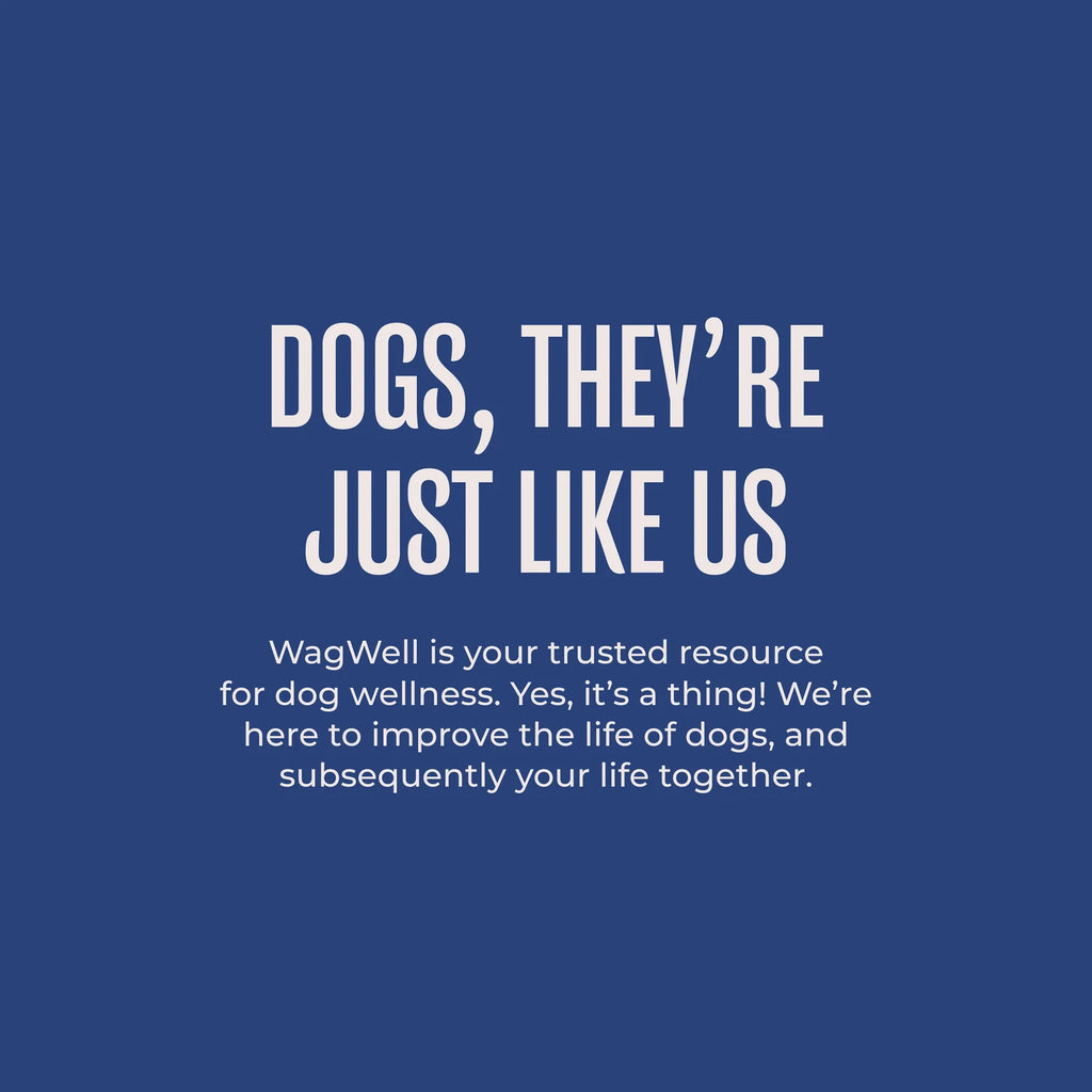 Freeze-Dried Dog Treats in a Beef, Sweet Potato and Yogurt Recipe