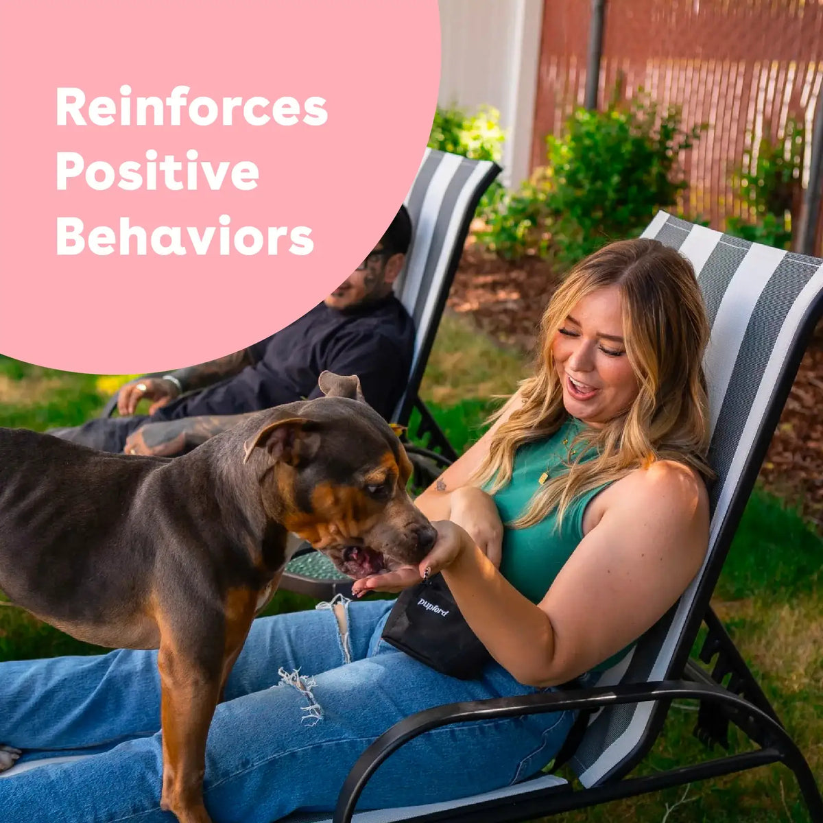 Freeze Dried Salmon Dog Training Treats with Crunchy Texture, 2 Calories Each, for Puppies, Adults and Senior Dogs