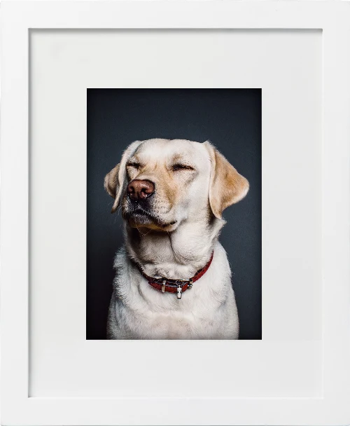 Gallery-Style Picture Frame in White Pine Wood