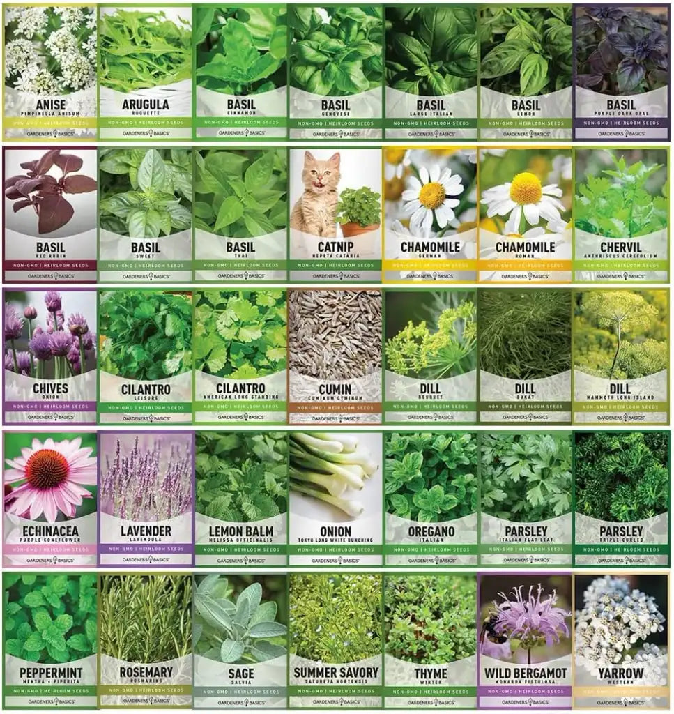 Garden Seed Packet Collection with 70 Labeled Packets and 68 Unique Varieties for Vegetable and Herb Gardens