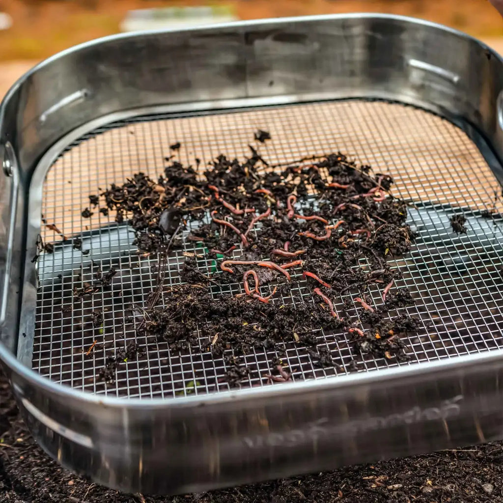 Garden Sifter