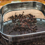 Garden Sifter