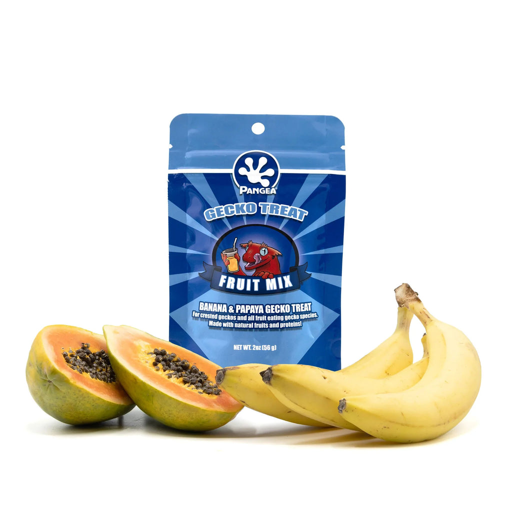 Gecko Fruit Treat Powder, 2 oz (1/8 lb)