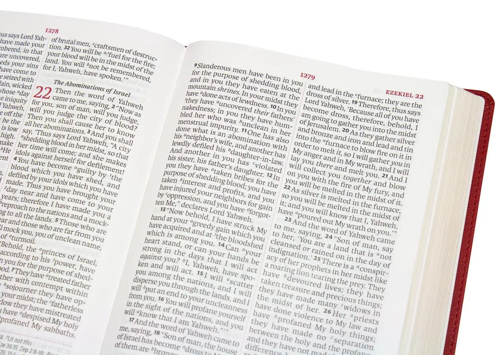 Giant Print Reference Bible in Faux Leather for Scripture Study, Featuring 13-Point Scripture Text