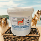 Gluten and Wheat Free Dog Joint Supplement Porridge