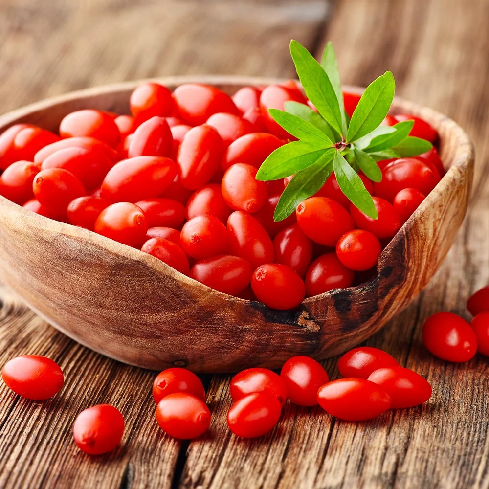 Goji Berry Plant