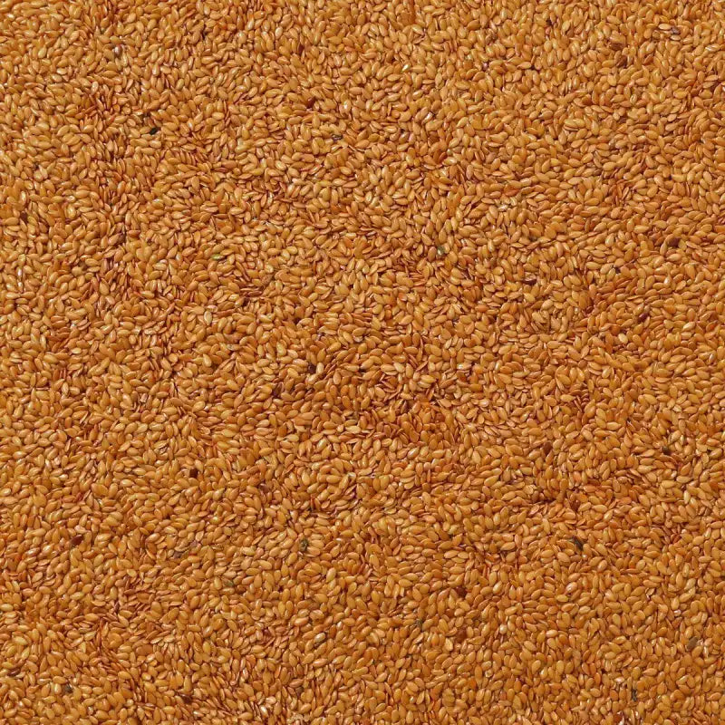 Golden Flax Seeds from Kazakhstan