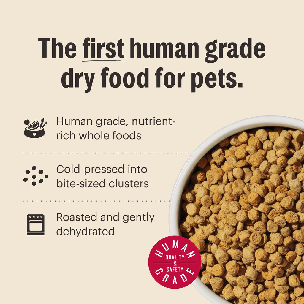 Grain Free Chicken and Whitefish Dry Cat Food Whole Food Clusters with Probiotics · Grain-free recipe, chicken and whitefi