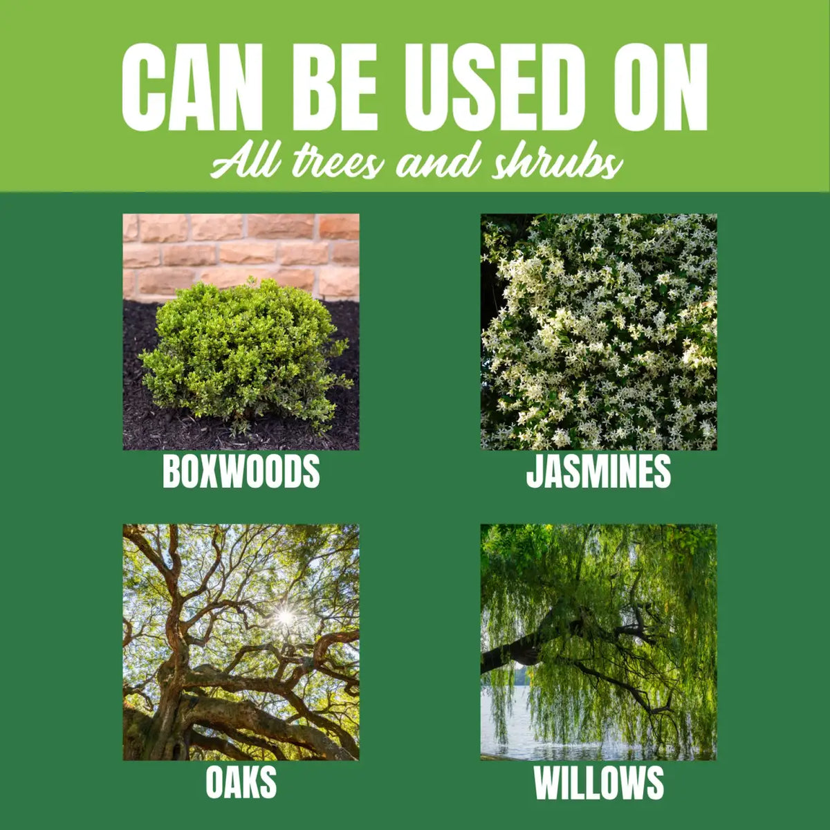 Granular Tree and Shrub Fertilizer