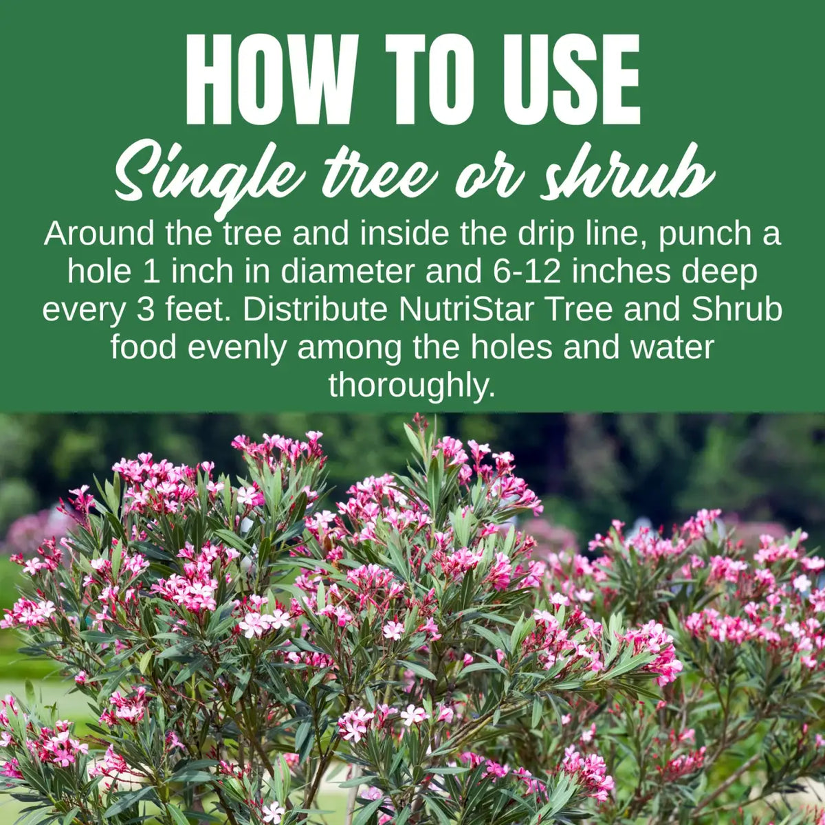 Granular Tree and Shrub Fertilizer