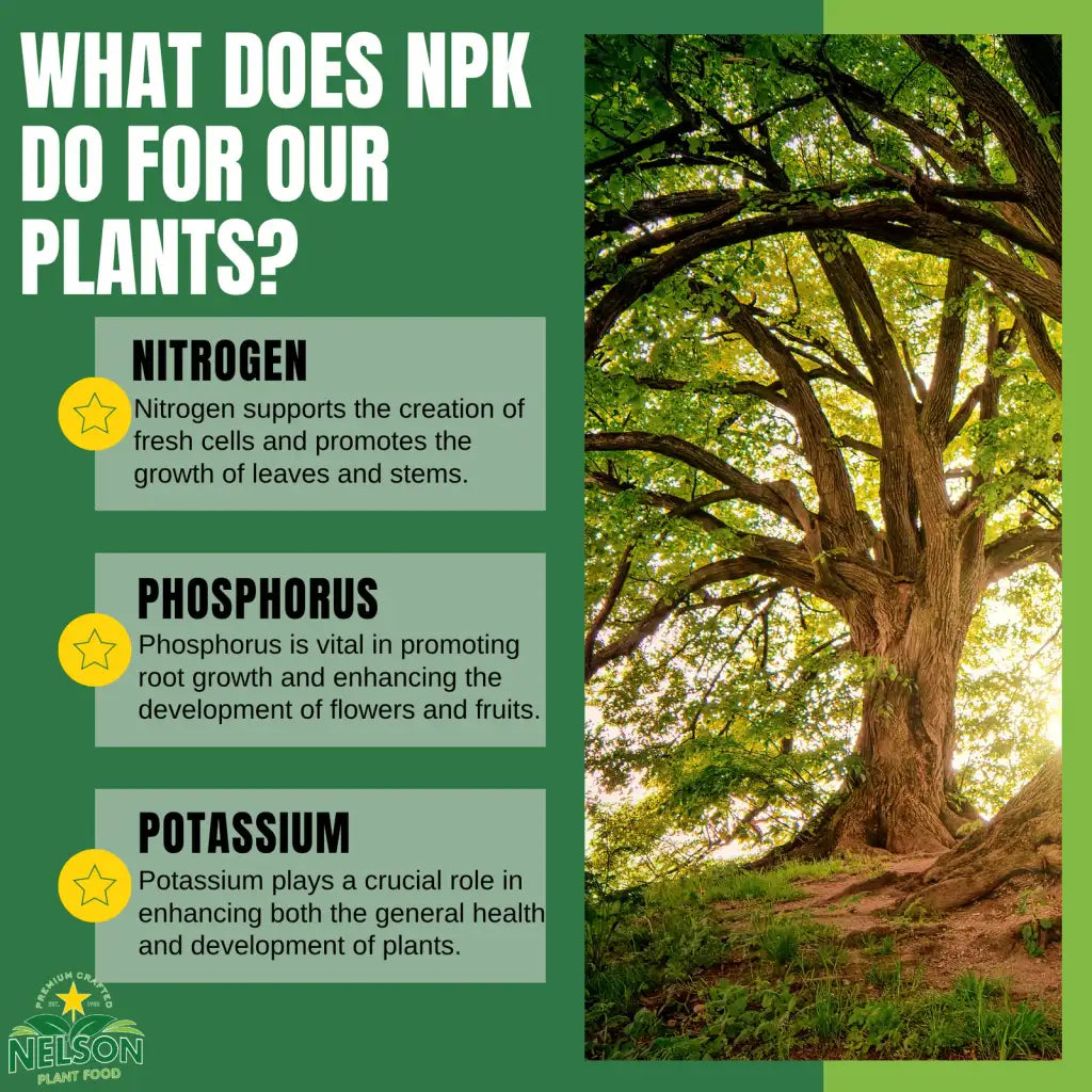 Granular Tree and Shrub Fertilizer