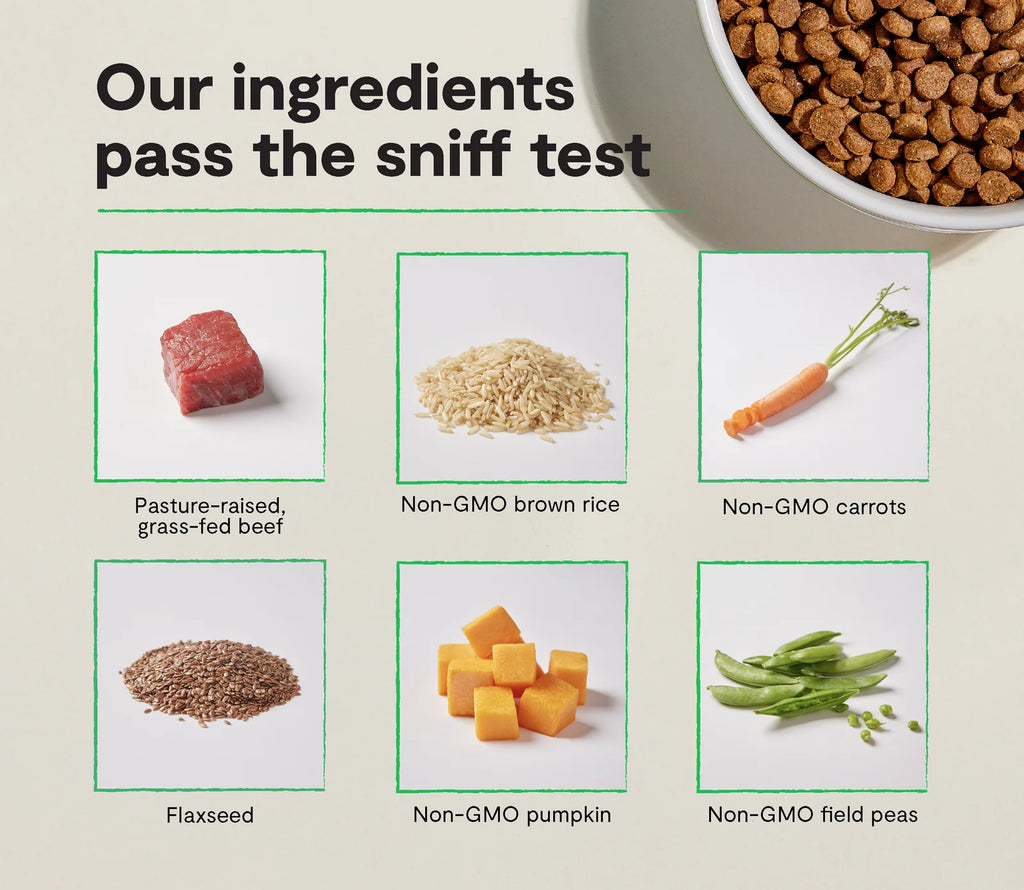 Grass-Fed Beef and Brown Rice Dog Kibble, Oven-Baked Complete Meal for Puppies, Adults, and Seniors