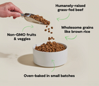 Grass-Fed Beef and Brown Rice Dog Kibble, Oven-Baked Complete Meal for Puppies, Adults, and Seniors