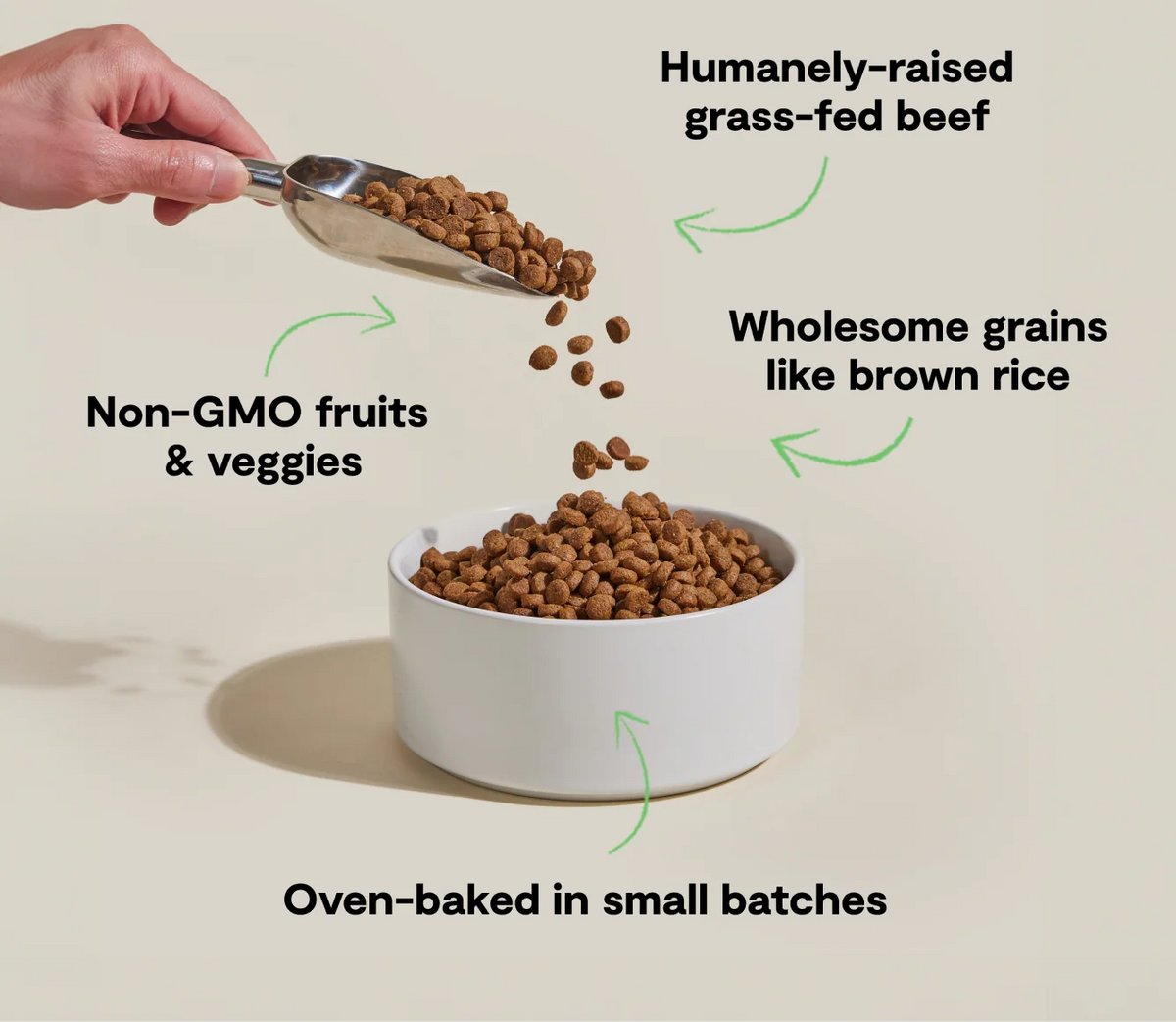 Grass-Fed Beef and Brown Rice Dog Kibble, Oven-Baked Complete Meal for Puppies, Adults, and Seniors