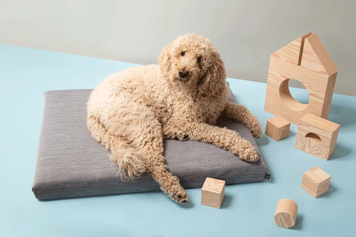 Gray Dog Bed or Replacement Cover