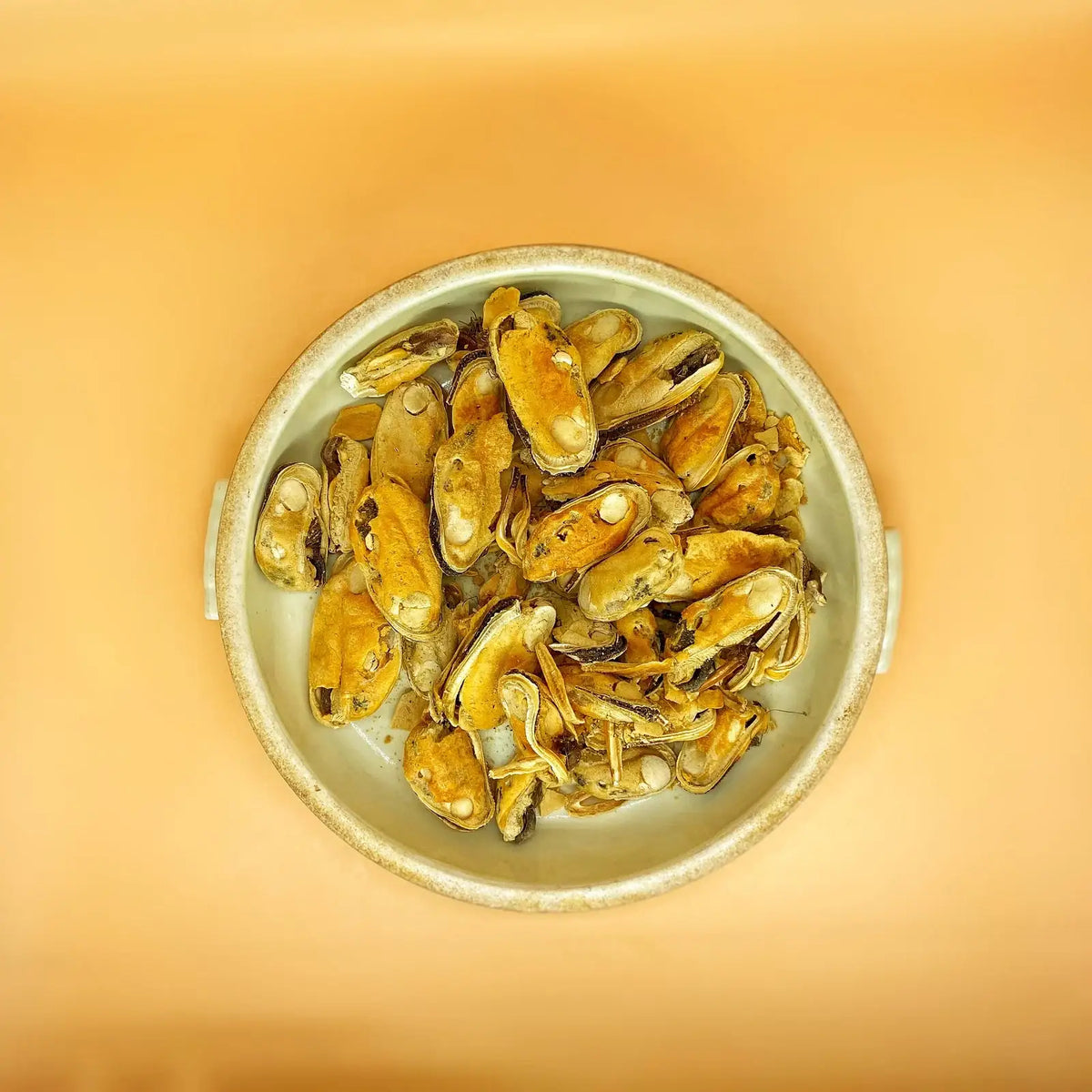 Green Lipped Mussel Dog Treats, Freeze-Dried Seafood Snack and Meal Topper in 1.5 oz or 5 oz Sizes