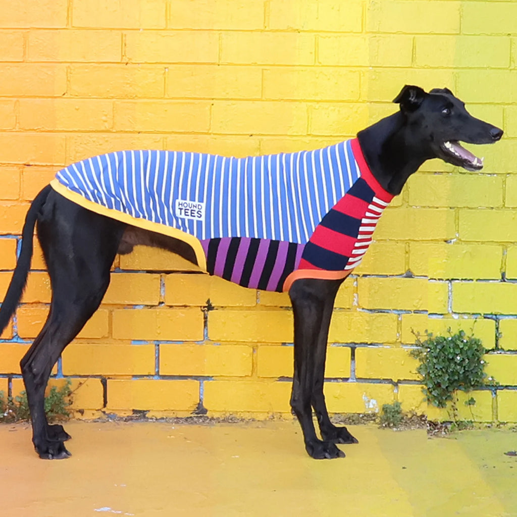 Greyhound Sleeveless Dog Shirt in Unique Mismatched Stripes, Made