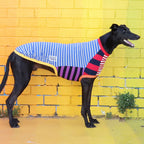 Greyhound Sleeveless Dog Shirt in Unique Mismatched Stripes, Made