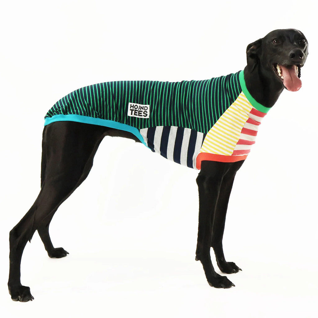 Greyhound Sleeveless Dog Shirt in Unique Mismatched Stripes, Made