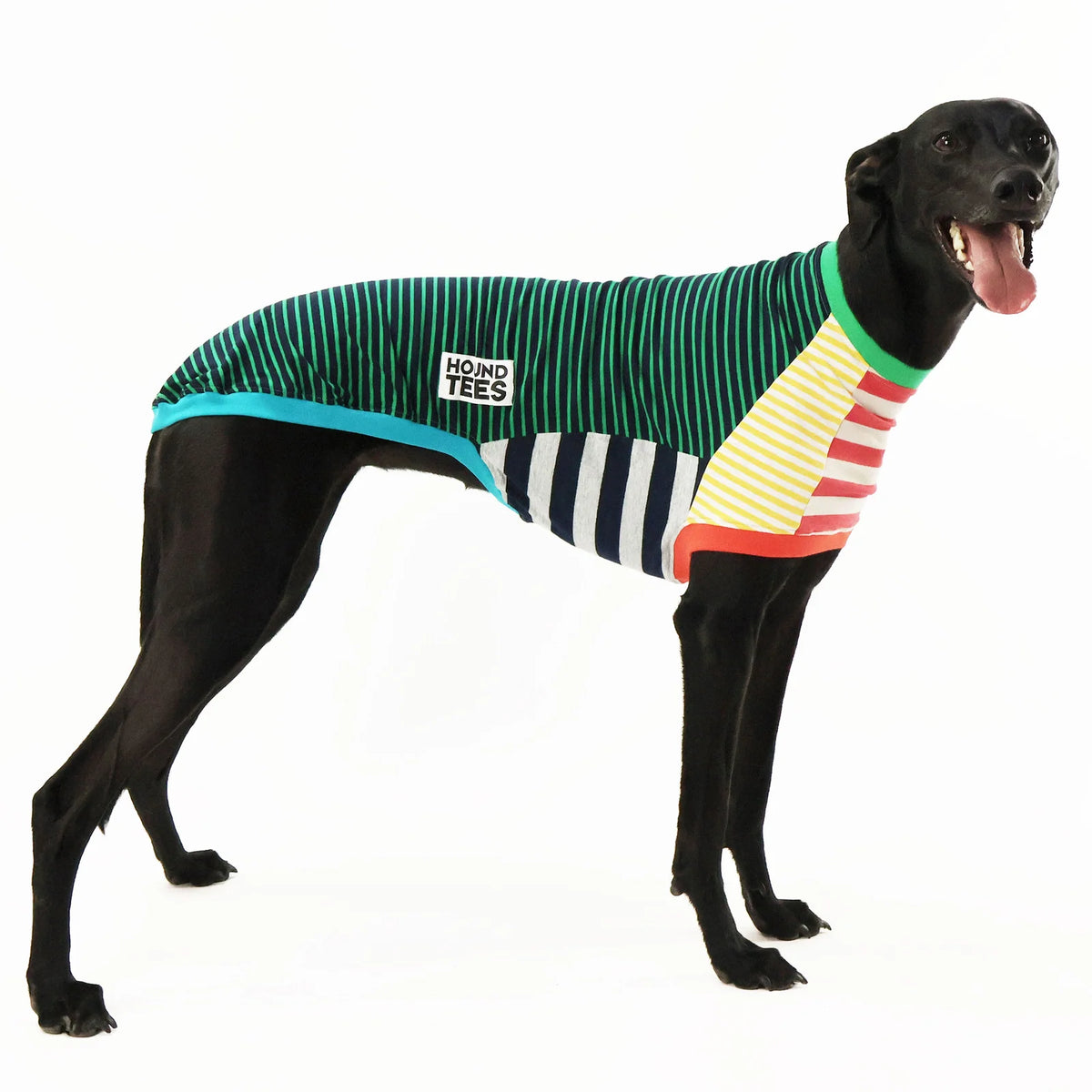 Greyhound Sleeveless Dog Shirt in Unique Mismatched Stripes, Made
