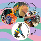 Greyhound Sleeveless Dog Shirt in Unique Mismatched Stripes, Made