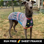 Greyhound Sleeveless Dog Shirt in Unique Mismatched Stripes, Made