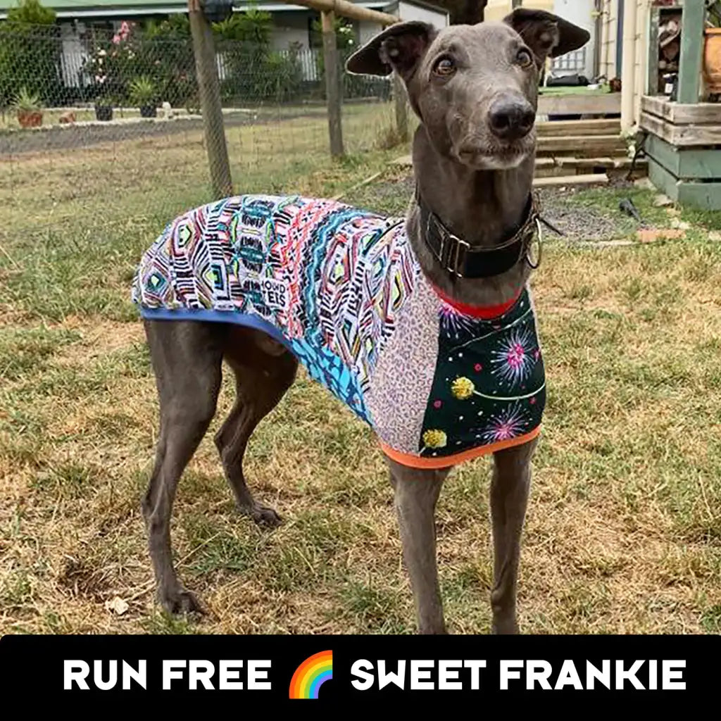 Greyhound Sleeveless Dog Shirt in Unique Mismatched Stripes, Made