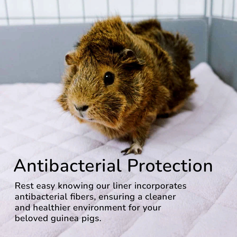 Guinea Pig Cage Liner