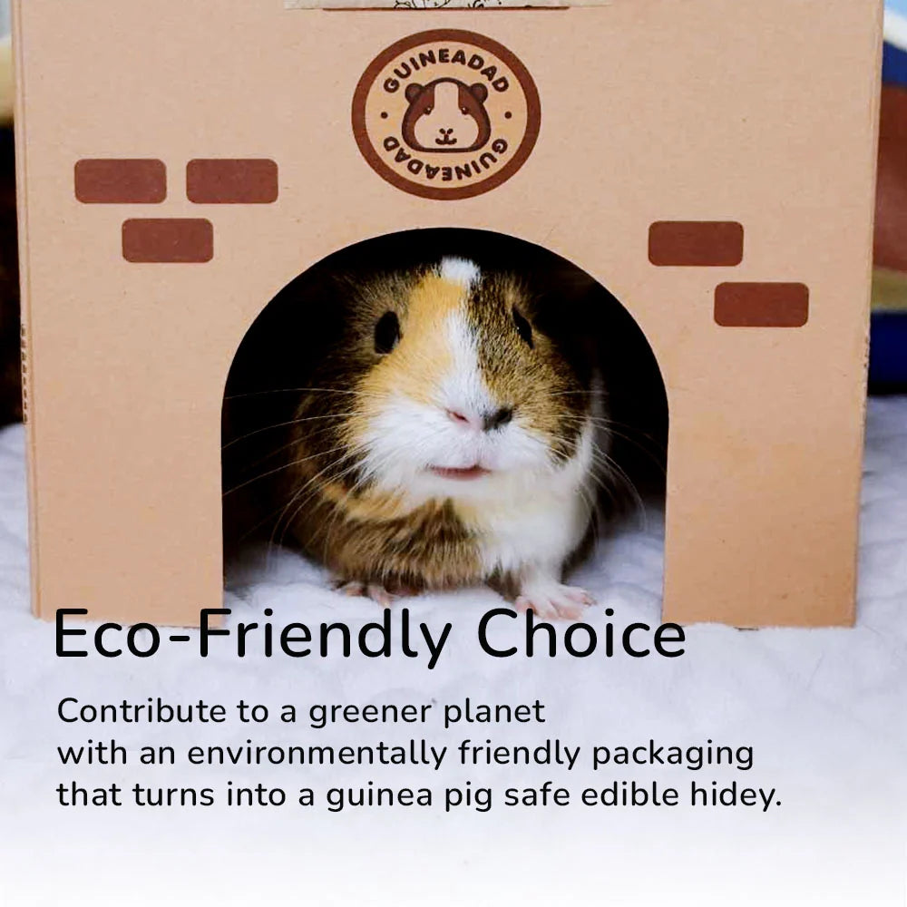 Guinea Pig Cage Liner