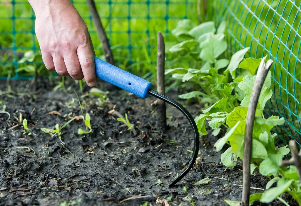Hand Weeder and Cultivator with a Slender Blade for Working Between Vegetable Rows and in Walkway Cracks
