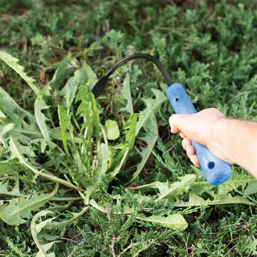 Hand Weeder and Cultivator with a Slender Blade for Working Between Vegetable Rows and in Walkway Cracks
