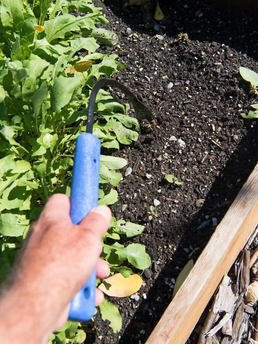 Hand Weeder and Cultivator with a Slender Blade for Working Between Vegetable Rows and in Walkway Cracks