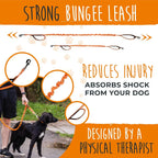 Hands-Free Bungee Dog Leash Set