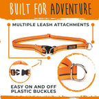 Hands-Free Bungee Dog Leash Set