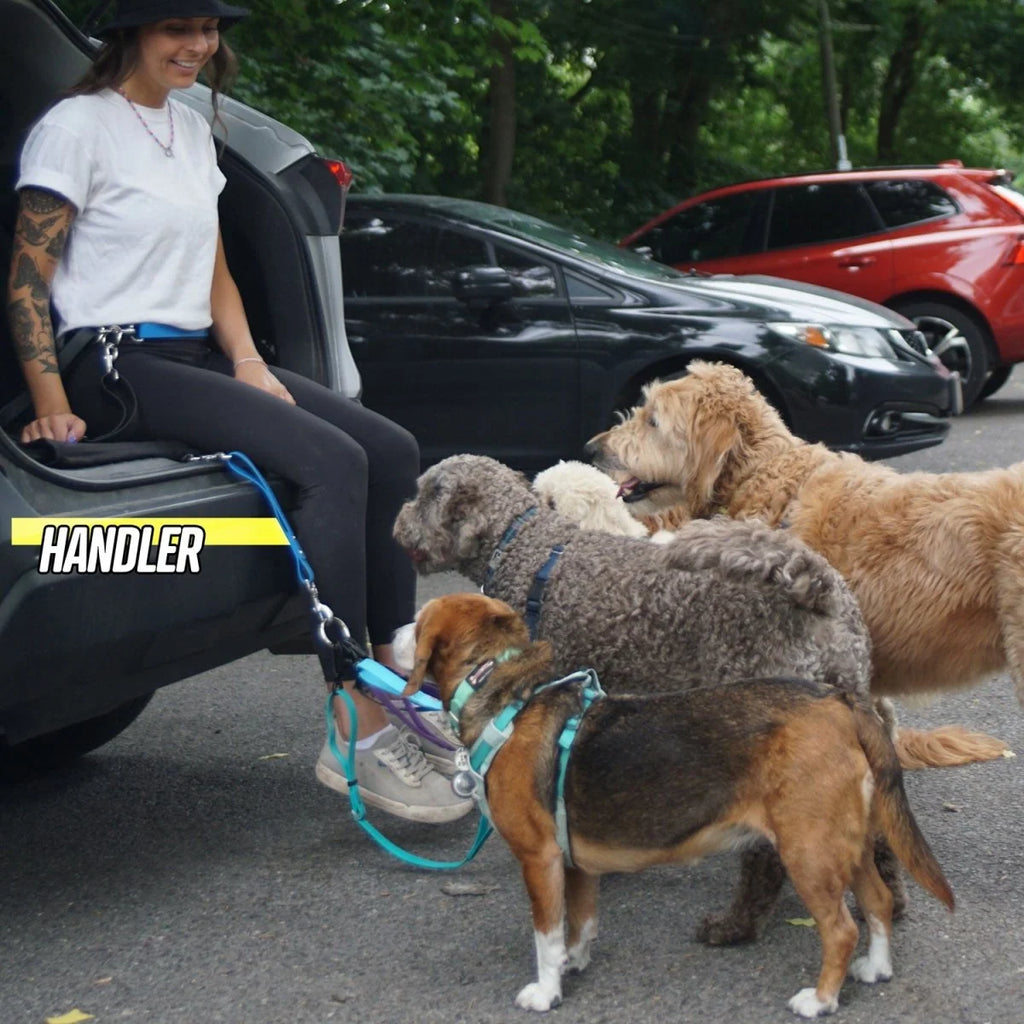 Hands-Free Dog Leash Traffic Handle