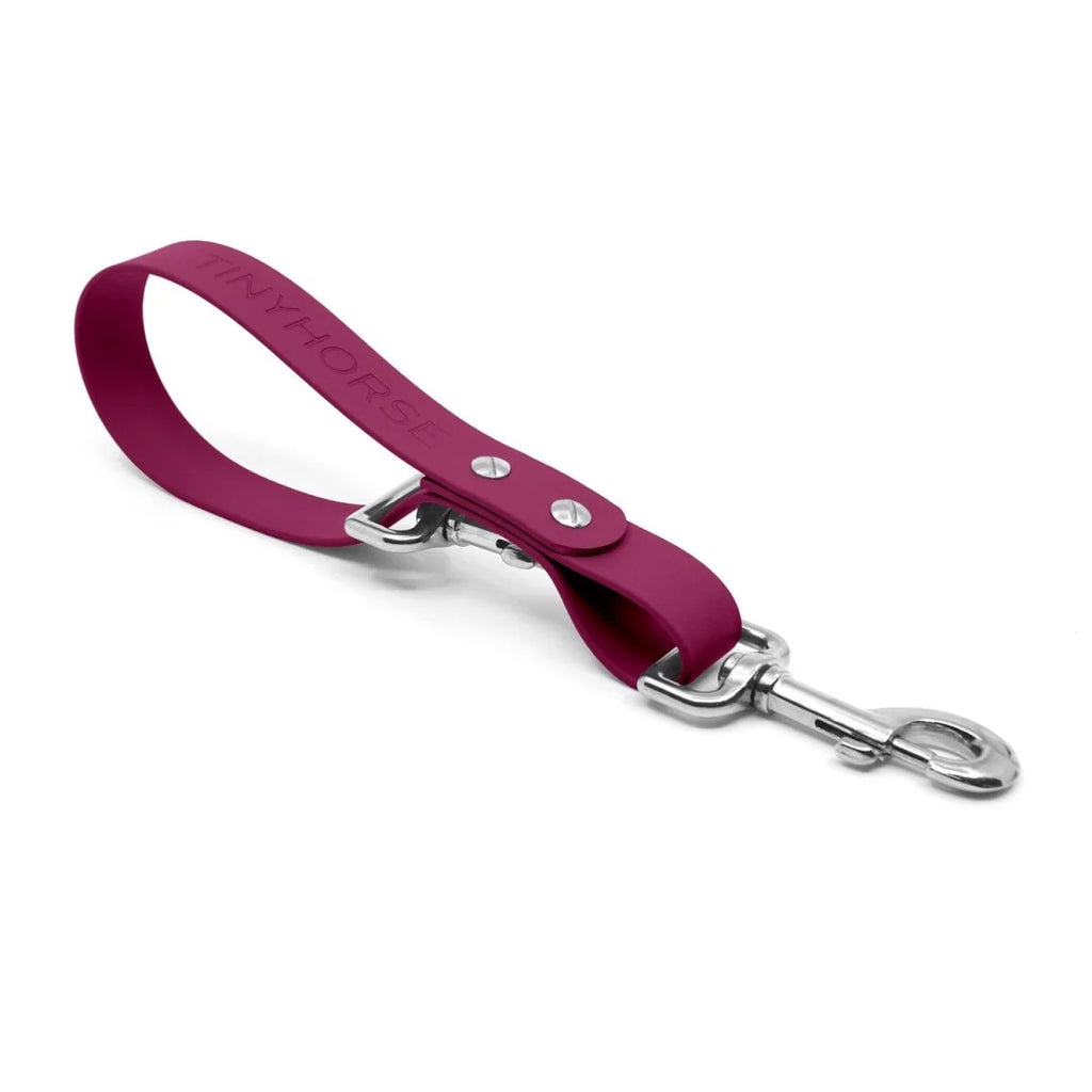 Hands-Free Dog Leash Traffic Handle