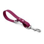 Hands-Free Dog Leash Traffic Handle