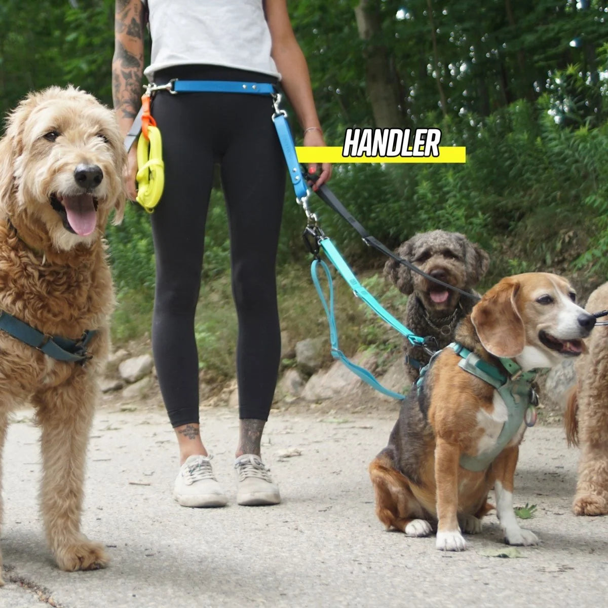 Hands-Free Dog Leash Traffic Handle