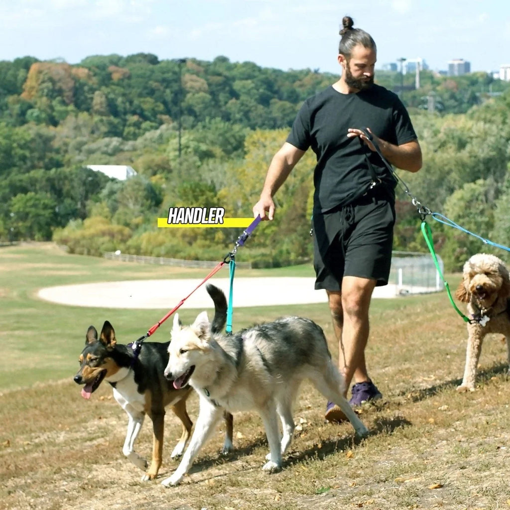Hands-Free Dog Leash Traffic Handle