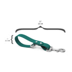 Hands-Free Dog Leash Traffic Handle