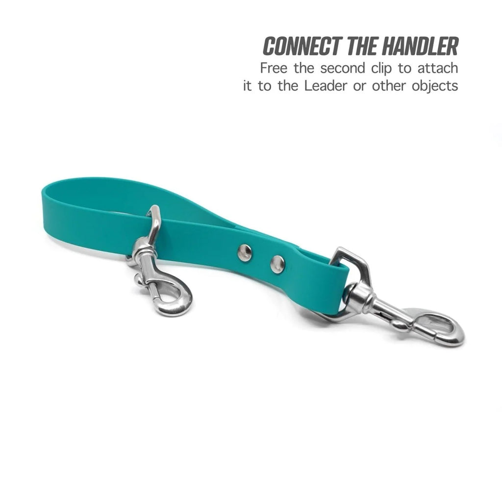 Hands-Free Dog Leash Traffic Handle